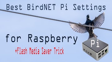 Best BirdNET Pi Settings for Raspberry Pi - Plus Secret Flash Media Saver Trick!