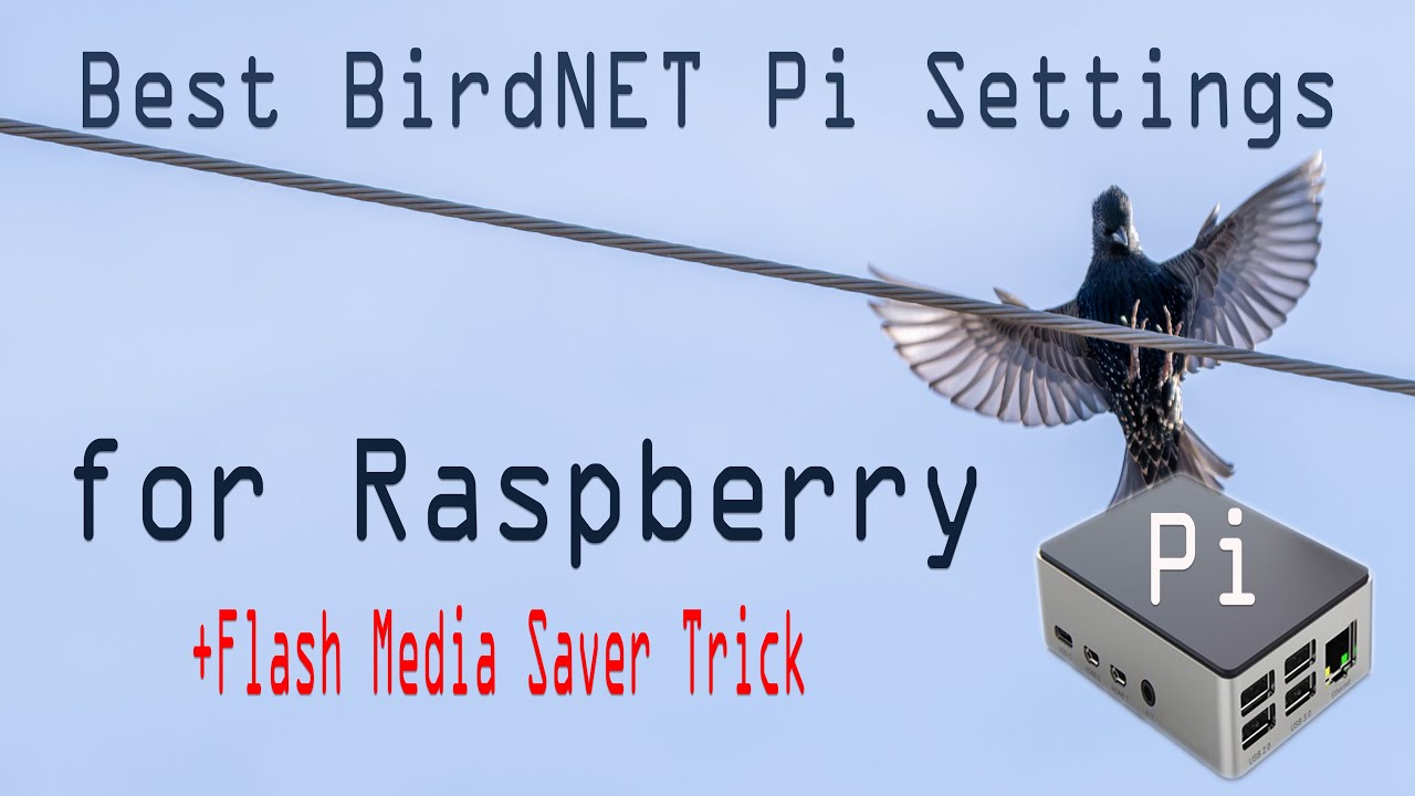 Best BirdNET Pi Settings for Raspberry Pi - Plus Secret Flash Media Saver Trick!