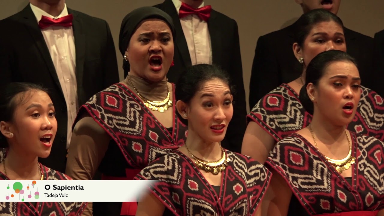 O SAPIENTIA - Tadeja Vulc