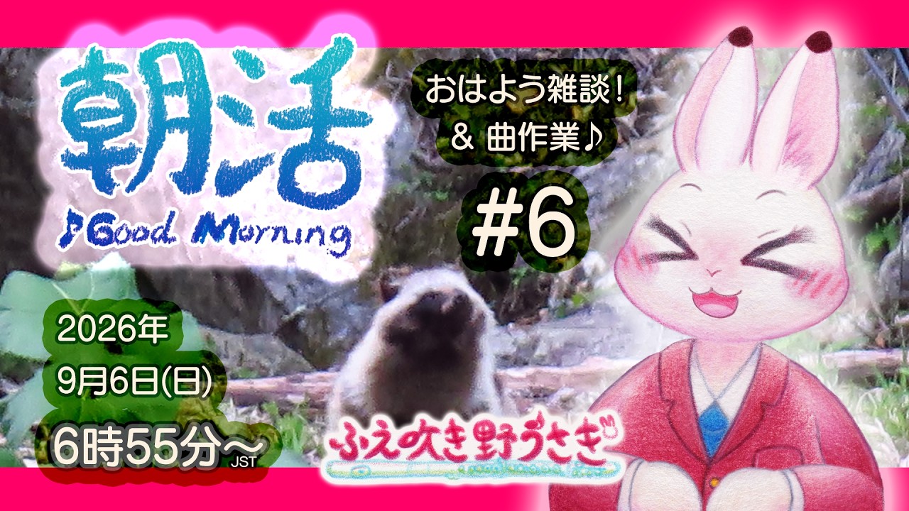 【朝活】#6 おはようの朝作業を♪