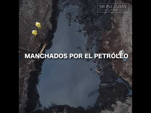 #ManchadosXelPetróleo: derrames, impunidad y abusos en la Amazonía