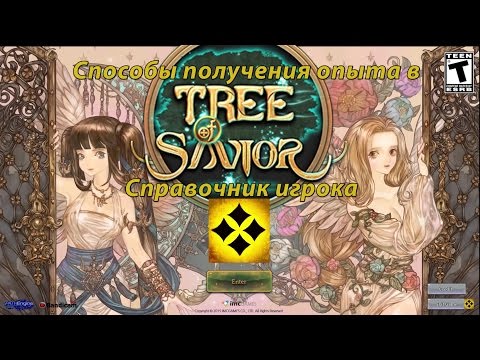 Справочник игрока Tree of Savior - способы получения опыта