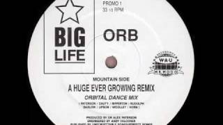 Orb - A Huge Ever Growing Remix. (Orbital Dance Mix)