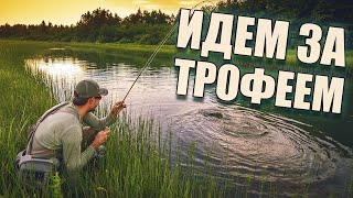 Стрим Русская рыбалка 4, общаемся