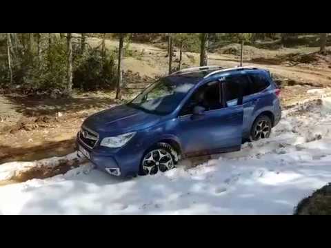 toyota-vs-subaru-forester