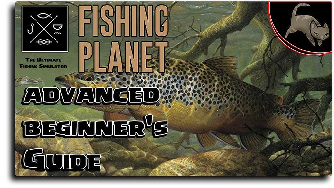 Fishing Planet Beginners Guide  Getting Started as a Low Level