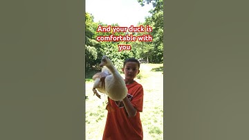 How to pick a duck part 4 #duck