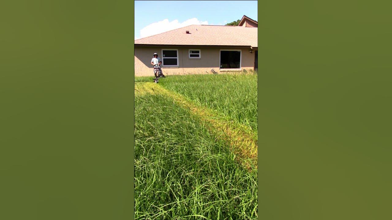 Mowing Thick Grass with High RPM DR SP30 YouTube