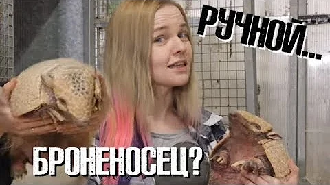 Твой Ручной... Броненосец?!