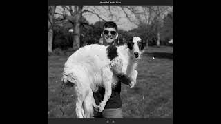 Ilford Pan F Plus BW in 4x5 / 8x10 Sheets #shorts