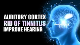 Celebrity Auditory Cortex | Strengthen Ability To Hear | Rid Of Tinnitus | Overcome Neck Tension & Jaw Issues Wealth