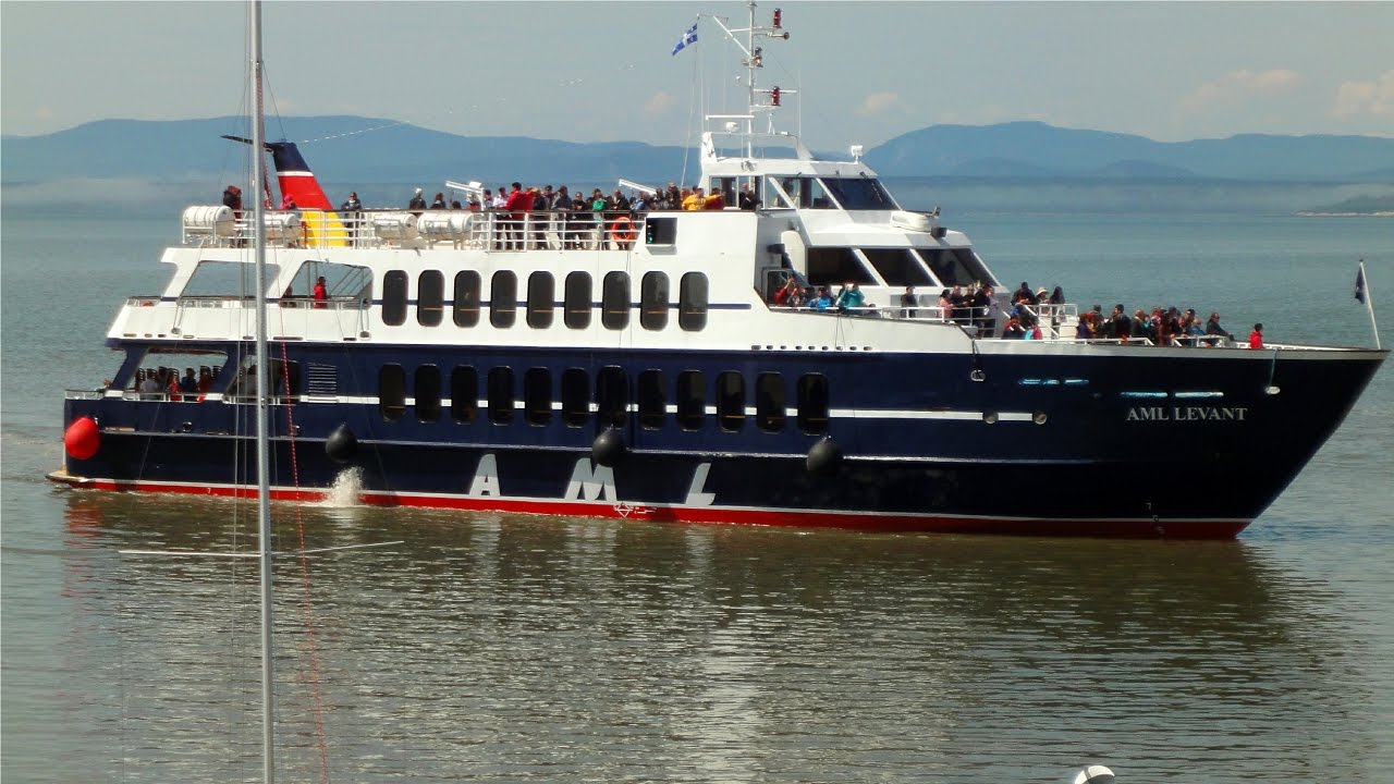 whale watching tours riviere du loup