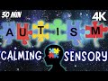 4k-Autism Calming Music-Tension Release Music to Help you Distress