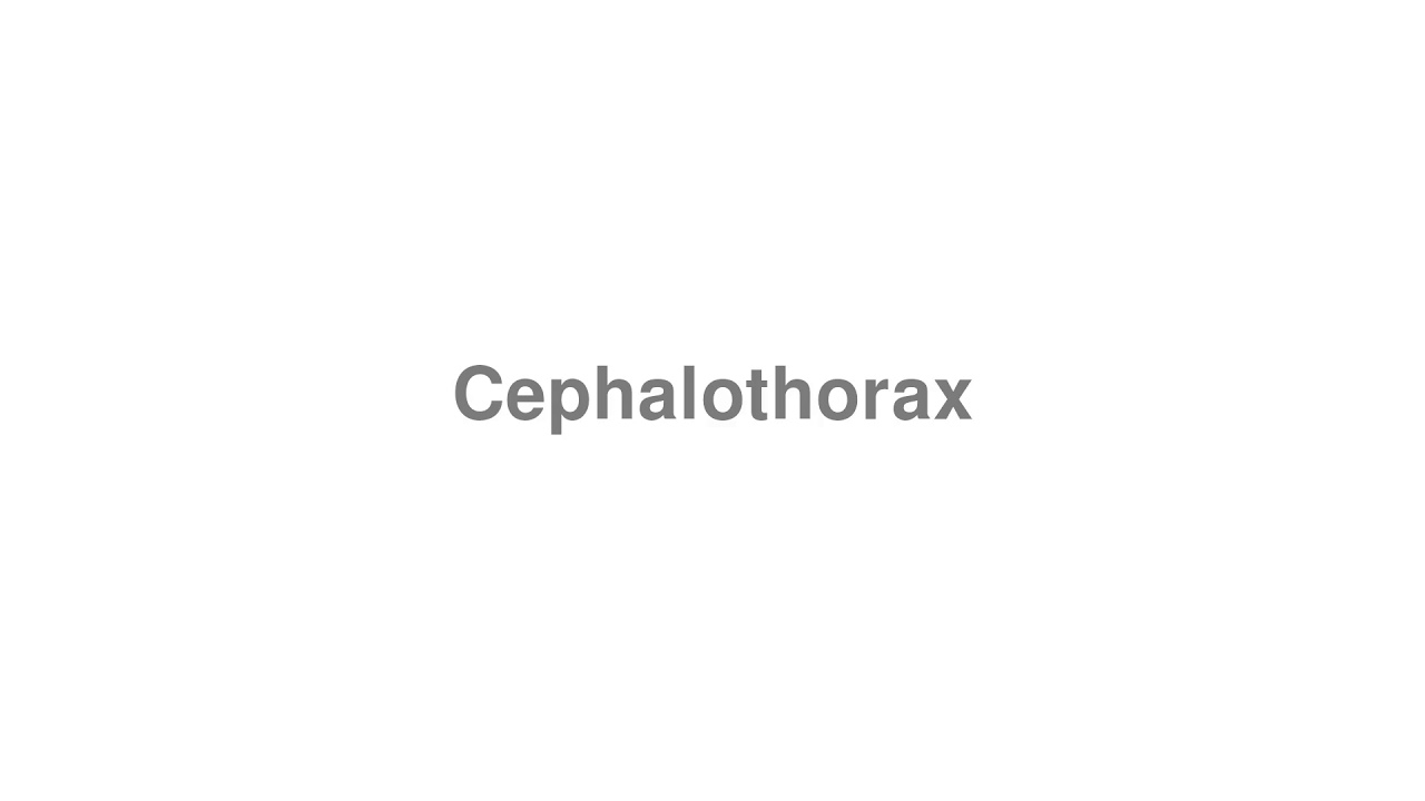 How to Pronounce "Cephalothorax"