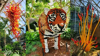 BLOWN AWAY at the Franklin Park Conservatory! | Columbus Ohio
