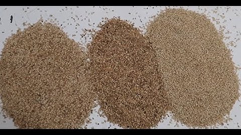White sesame color sorting