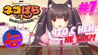 Прохождение NEKOPARA Vol.1 ► [#7] ЧТО НЕ ТАК С ЧОКОЛОЙ?!