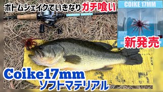ken1uji コイケ17ミリソフトマテリアル13個セット 新発売コイケ17mmにソフトマテリアル登場！！いきなりのデカバスが