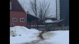 Union barn collapses after series of storms, killing several cows
