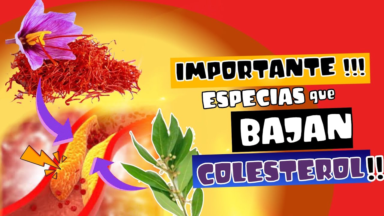 Cual es la mejor infusión para bajar el colesterol