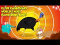 The World’s Most Dangerous Bird - The Cassowary | Modern Day Dinosaurs | The Dr. Binocs Show