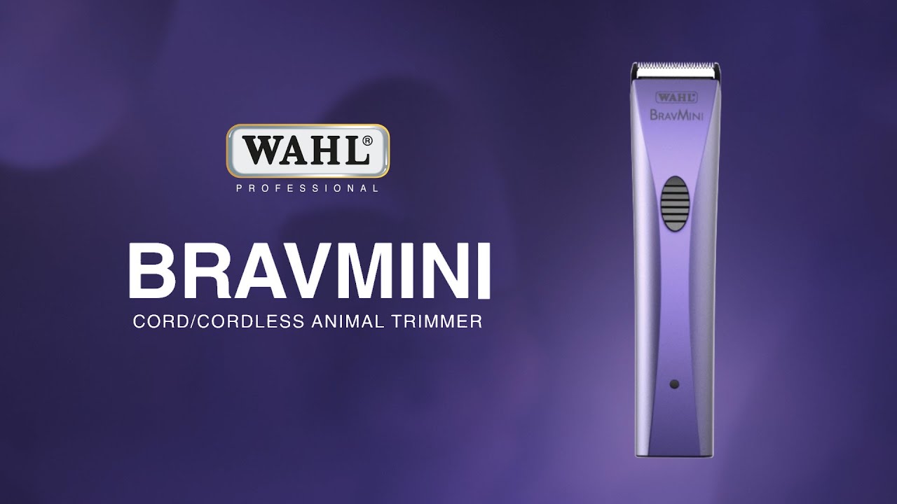 bravmini clipper