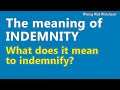What is indemnity or indemnify? Explained with multiple examples sentences