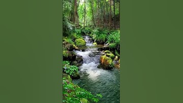 _القرآن الكريم_ماتيسر من سورة _ يوسف # #اكسبلور  #اللهم صل وسلم وبارك على نبينا مُحمد