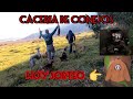 Caceria De Conejos Con Perros 2021 /conejiadas temporada 2021 / CONEJEANDO.