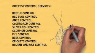 Pest Control Berwick | Call 8376 9850 for a Berwick Pest Control