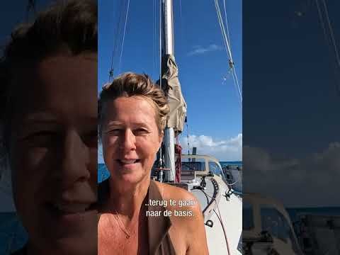 Levenswijsheid Jacqueline Evers #short