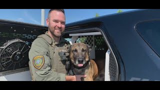 Houston police K9 stabbed during chase with robbery suspect