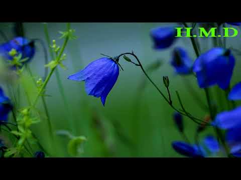 عادل عكله اظـلـمـت