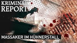 Hessen 3 Mediathek Hessen 3 Mediathek