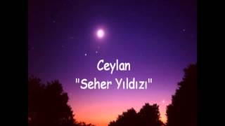 SEHER YILDIZI (C¤ Yalniz Deli Kurt C¤) Resimi