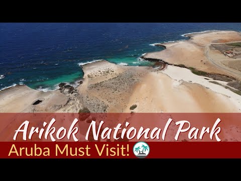 Video: Arikok National Park: de complete gids