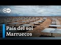 Marruecos y su energía solar | DW Documental