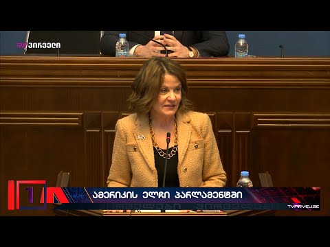 ოცნებამ პარლამენტში მისულ ამერიკის ელჩს შტატებთან უვიზო მიმოსვლა და პირდაპირი ფრენები მოთხოვა