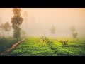 Nature Scenic Views | Meditation Music | Relaxing Music | Soothing Music | Sleep Music | Study Music