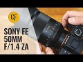 Sony FE 50mm f/1.4 ZA lens review with samples (Full-frame & APS-C)