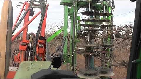 mechanical pruning grape vines 1