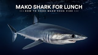 MAKO SHARK Sous Vide  SHARK WEEK SPECIAL!