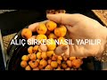 Evde ALIÇ SİRKESİ Nasıl Yapılır/Altın Değerinde / Whoever makes this vinegar at home will ve happy