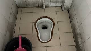 Uncommon Econax Squatting toilet on a High Level Techplas Cistern
