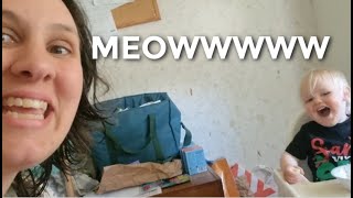 Let us meow at you, A channel announcement