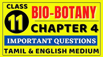 11th Bio Botany Chapter 4 important Questions | 11th Biology important Questions 2022 | Kalvi Tube