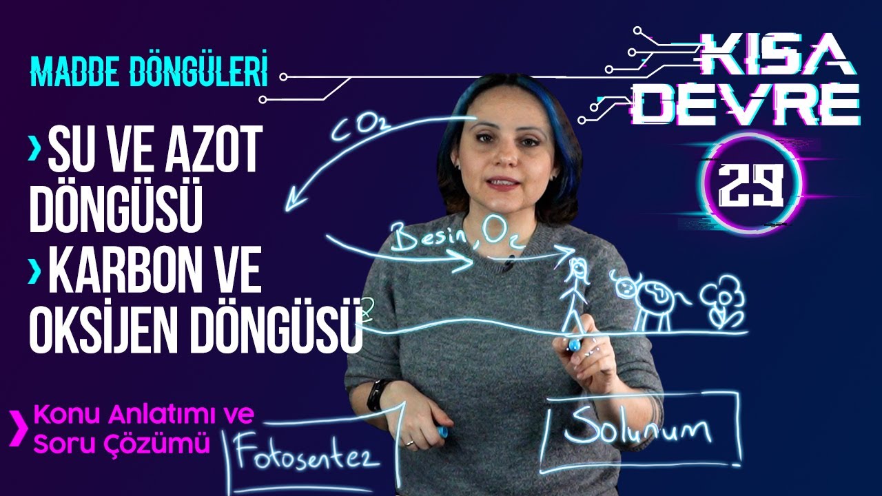 Madde Döngüleri: Karbon ve Azot Döngüsü | 8. Sınıf Fen Bilimleri | Lightboard ile Ders #29