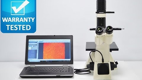 Zeiss Axiovert 25 Inverted Phase Contrast Microscope [BOSTONIND] - 31329