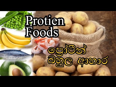 10 Protien foods | ප්‍රෝටීන් බහුල ආහාර 10 ක් | Protien foods