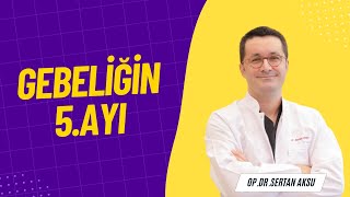 Gebeliğin 5.ayında neler meydana gelir ? Resimi